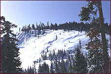 A ski lift ridge at Homewood Mt. 